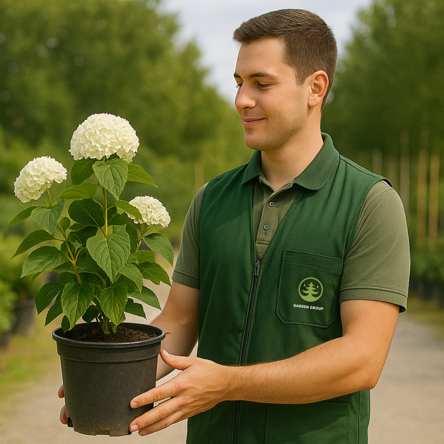 Simple Modern Minimalist Circle Design Studio Logo (6)